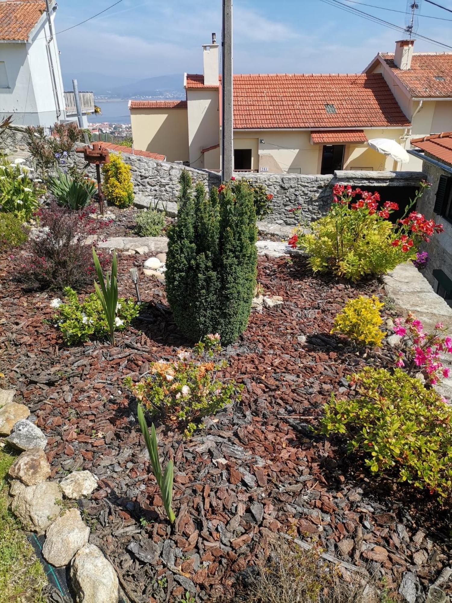 Casa Da Portela Caminha Eksteriør billede